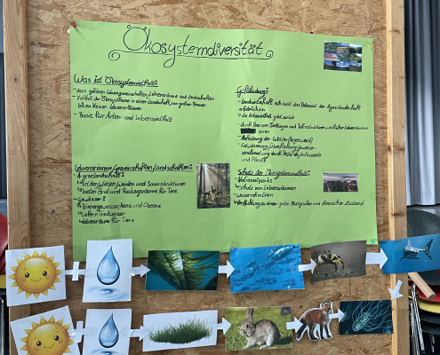 2026-02-biodiversitaet-14