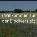 Biodiversität