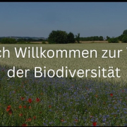 Biodiversität