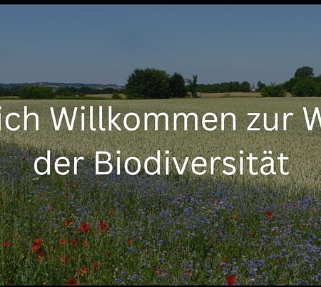 Biodiversität
