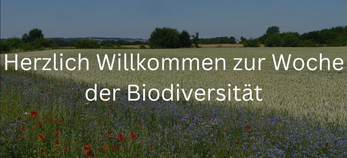 Biodiversität