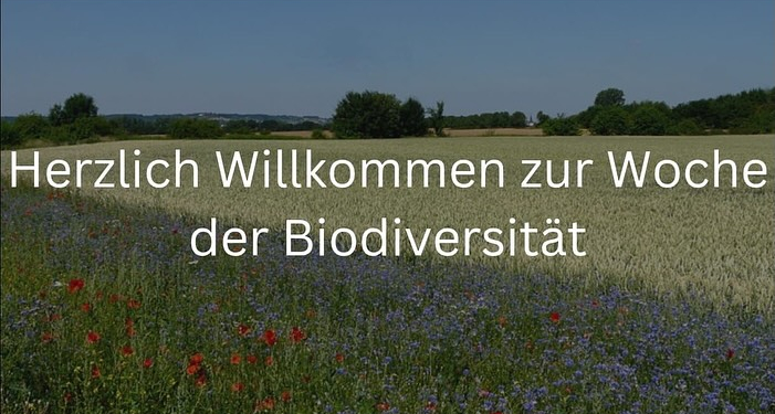 Biodiversität