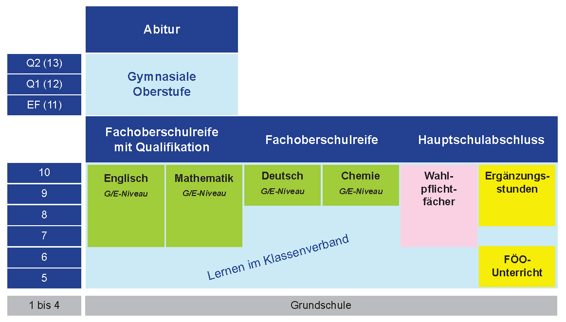 Struktur der Gesamtschule