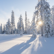 Winterlandschaft