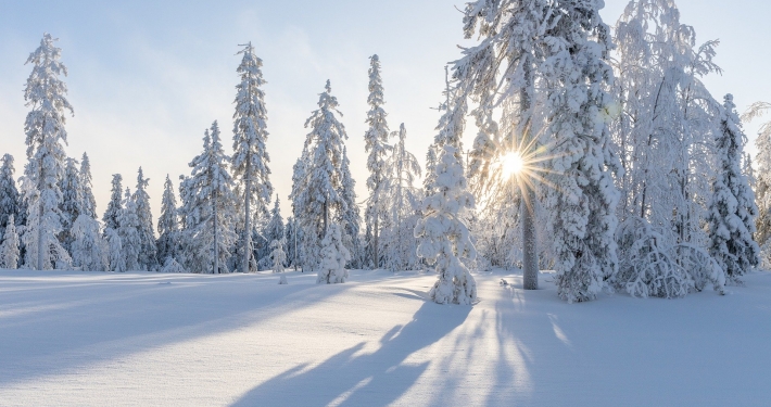 Winterlandschaft