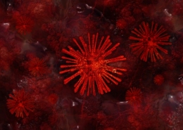 Virus