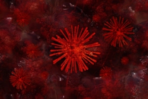 Virus