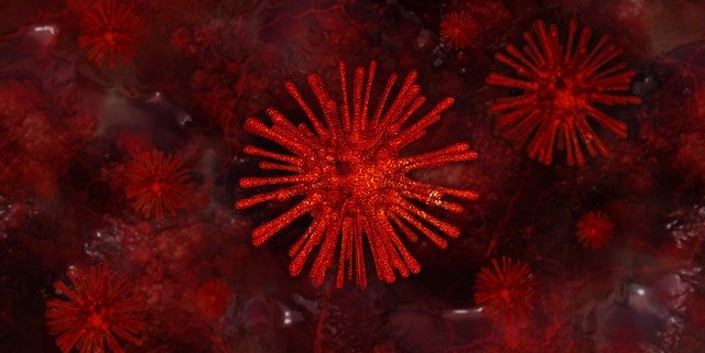 Virus