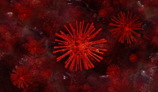 Virus